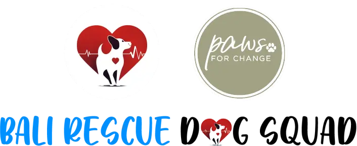 Bali Rescue Dog Squad & Paws for Change