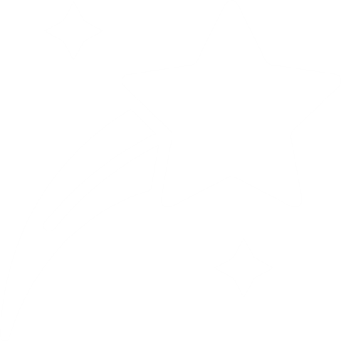 shooting star icon